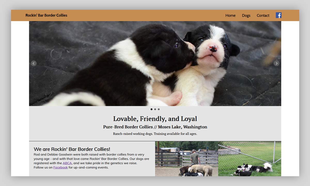 Rockin' Bar Border Collies Site Design Visual Example